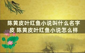 陈黄皮叶红鱼小说叫什么名字皮 陈黄皮叶红鱼小说怎么样